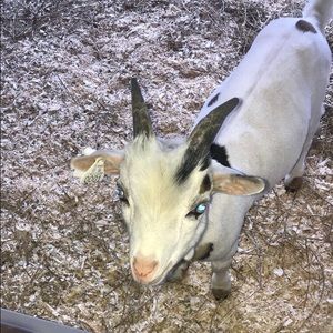 Meet your Posher, Claire